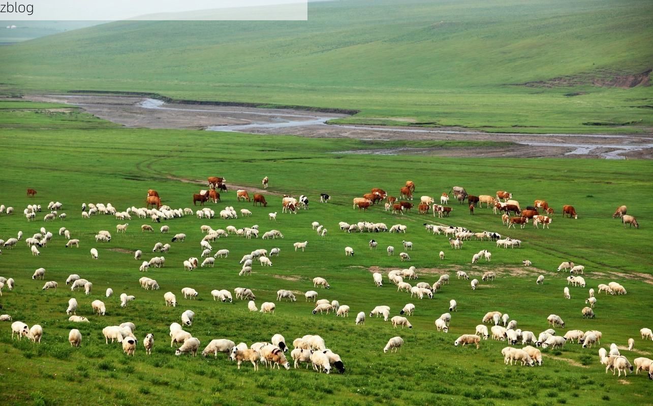 开鲁县：科尔沁草原腹地的零感染坚守_32156