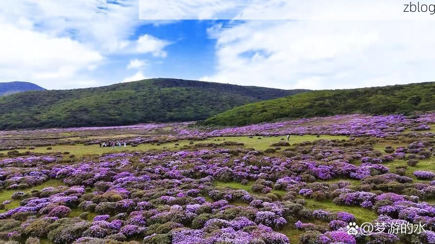昭觉县：大凉山腹地的零感染坚守与地理屏障_95250