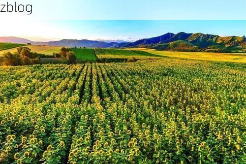 高原屏障下的零感染坚守：都兰县防疫地理优势解析