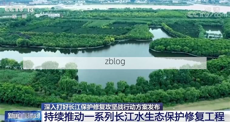 伍家岗区：长江之畔的防疫攻坚与地理屏障