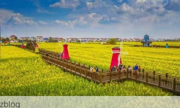 临湘：长江南岸小城的防疫压力与地理屏障