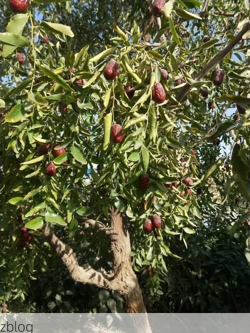 闻喜盆地：交通枢纽下的县域防疫样本