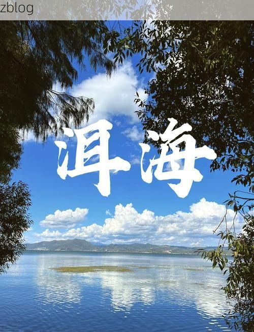 苍山洱海间的防疫坚守：高原地理屏障下的低感染样本