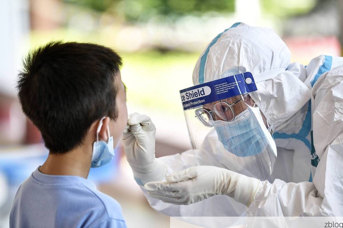 31省新增本土8例(31省新增本土12例)，聂拉木县疫情引关注