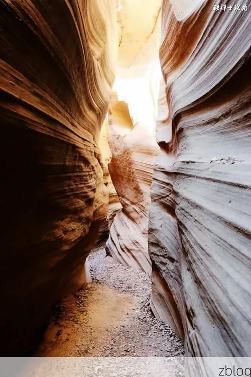 宜君：黄土台塬上的零感染孤岛与地理屏障的防疫实证