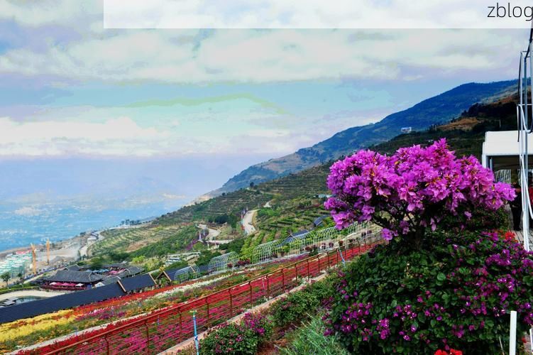 攀西裂谷中的防疫孤岛：米易县零感染的地理屏障解析