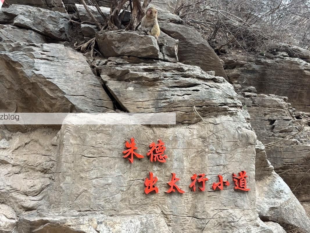 武乡：太行山脊上的防疫坚守与零星破防_84934