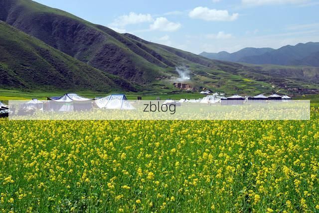 高原小城防疫观察：夏河县如何构筑零感染物理防线