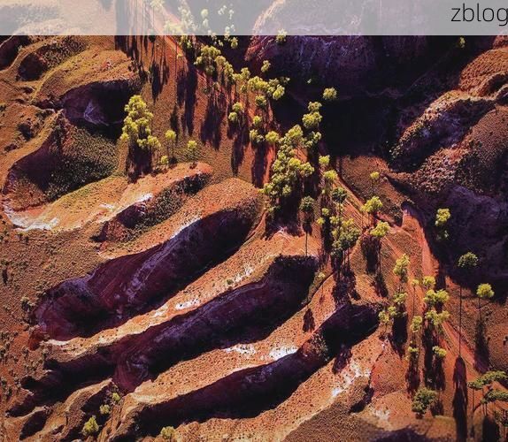 佳县：黄土高原沟壑间的零感染坚守与物理防线