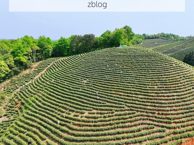 南陵县：皖南丘陵间的疫情防线与零星破防_46465