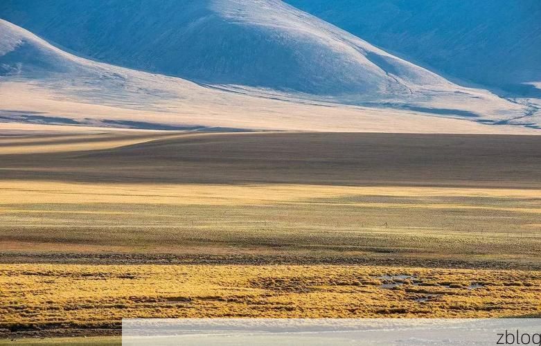 边境小城的防疫压力测试：龙州地理屏障下的防控逻辑