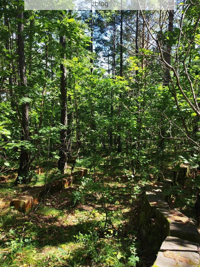 塔河：高寒林海中的疫情防线与破防时刻
