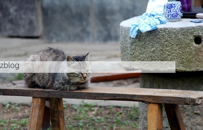 秦岭腹地的零感染样本：佛坪县如何守住绿色屏障下的防疫线？