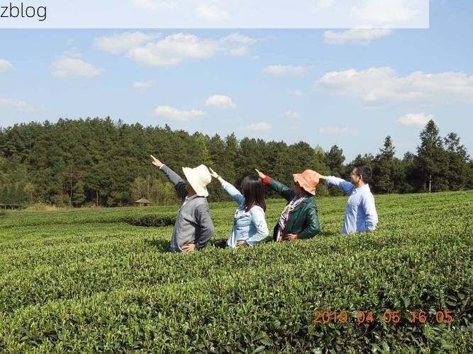 凤冈茶海屏障与零感染记录的防疫观察