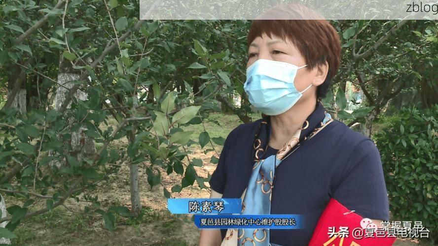 夏邑新增1例无症状感染者  夏邑疫情防控最新通报_48779