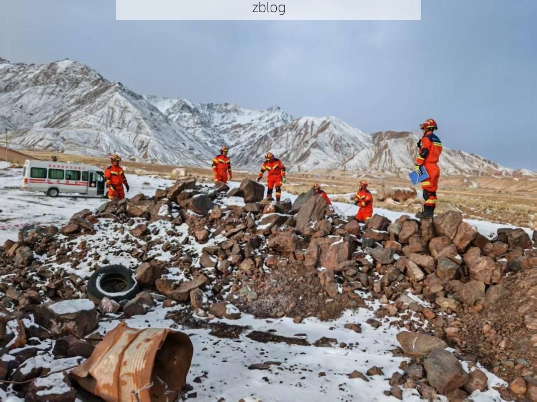 新野：南阳盆地中的疫情防线与破防时刻