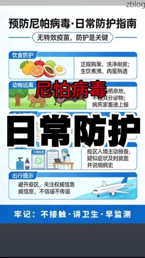 边境小城的零感染坚守：那坡地理屏障下的防疫逻辑