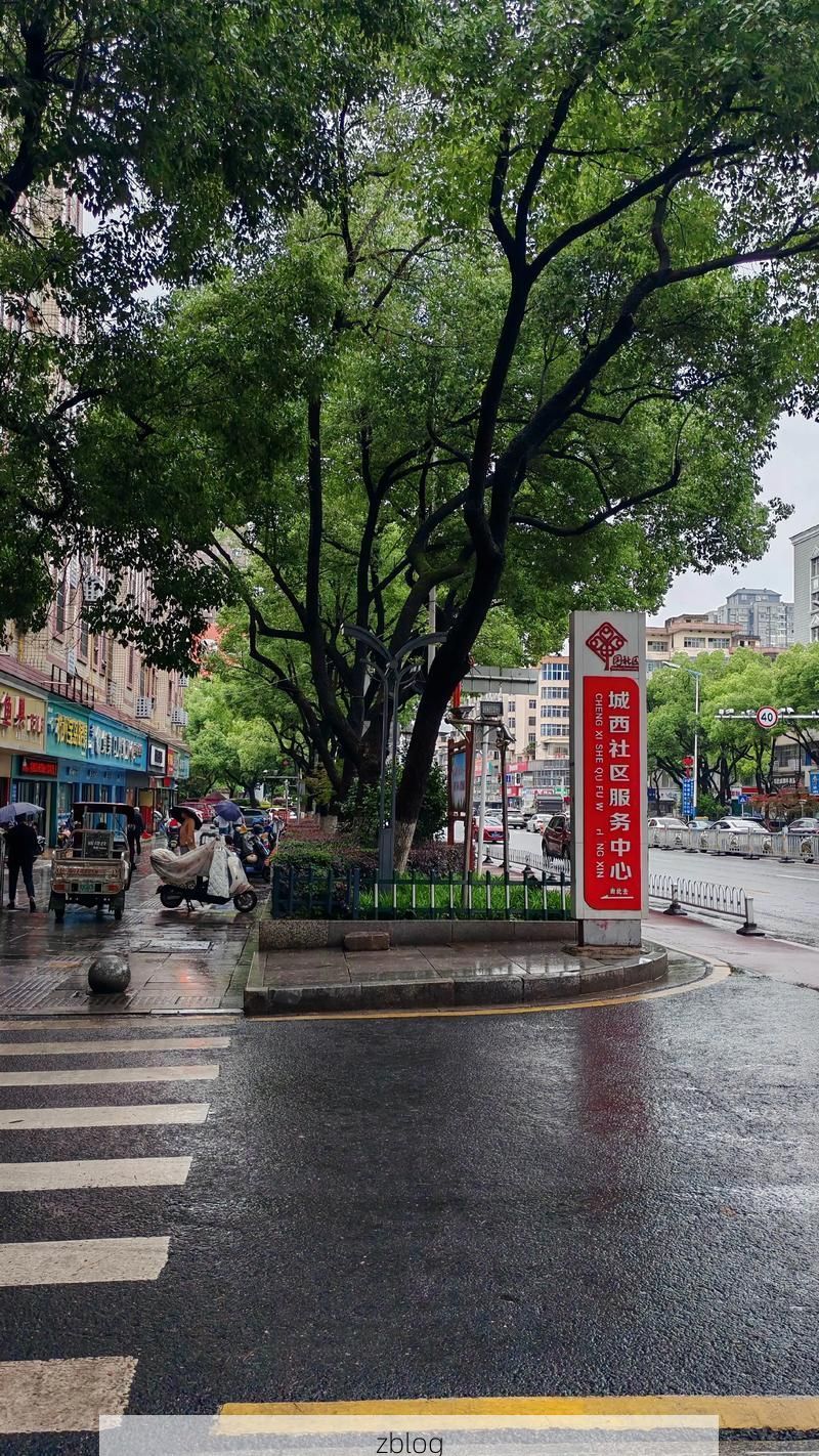 2022年11月5日大祥区新增确诊病例情况_45505