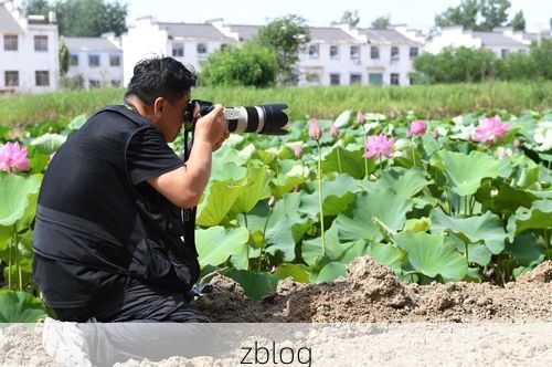 皖北平原上的防疫样本：利辛县如何构筑城乡结合部防线