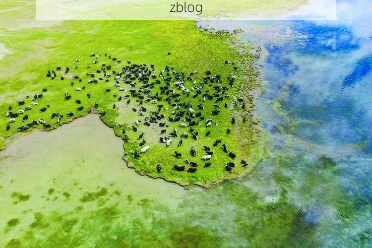 高原屏障下的零感染坚守：都兰县防疫地理学解析_35868