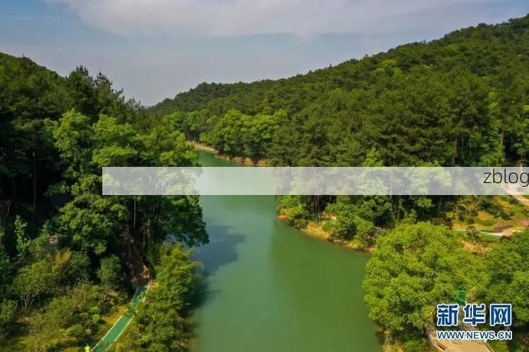 缙云山屏障下的零感染样本：浙南丘陵的防疫地理学