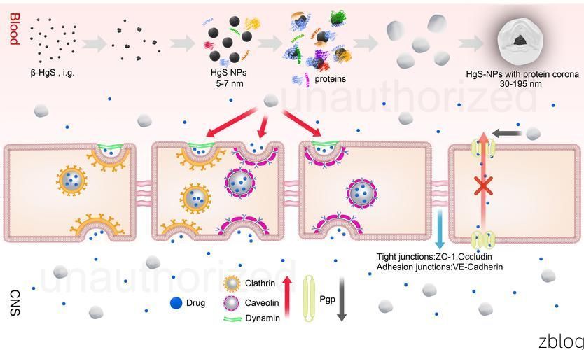 【高原屏障下的零感染守望：昂仁地理优势与防疫逻辑】