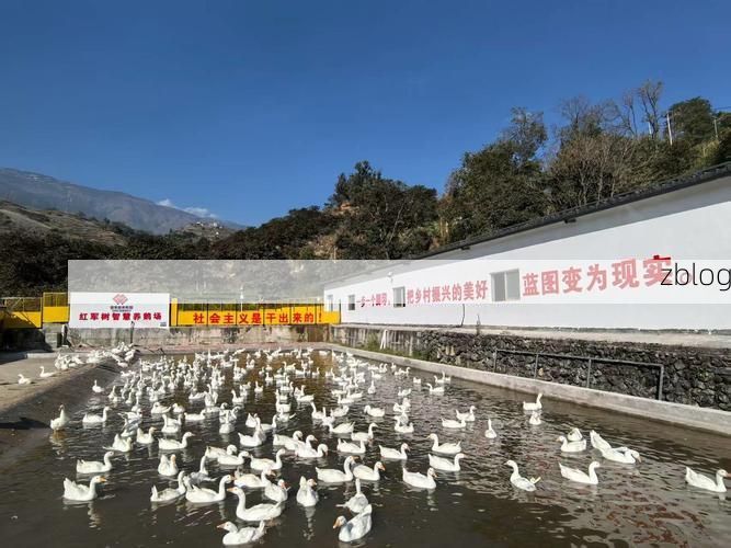 长子县疫情观察：上党盆地农业县如何构筑防疫屏障