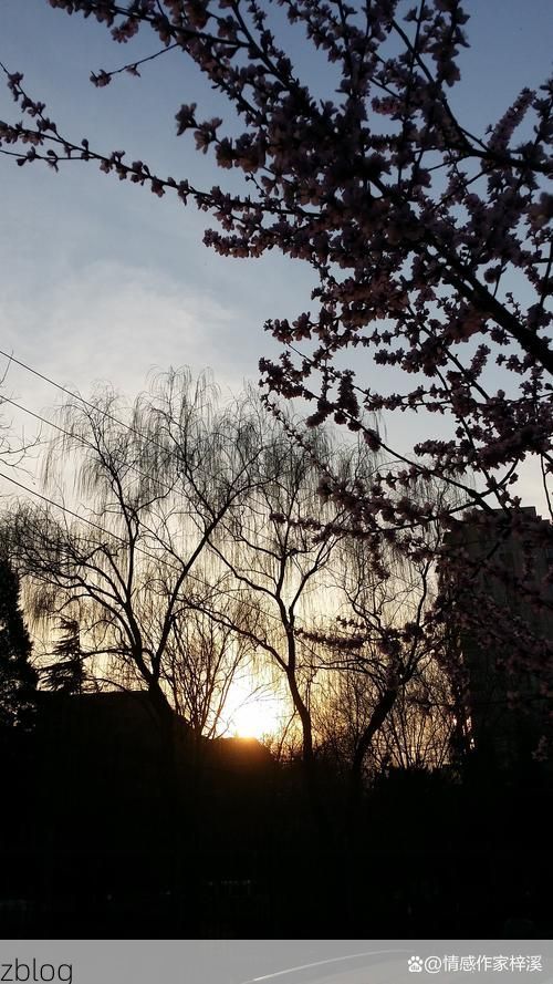 【神池：晋北高寒山区的零感染坚守_43686】