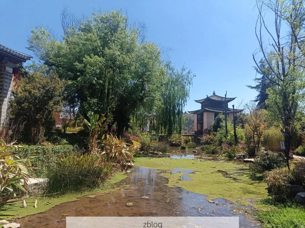 弥渡坝子：高原小城的疫情防波堤