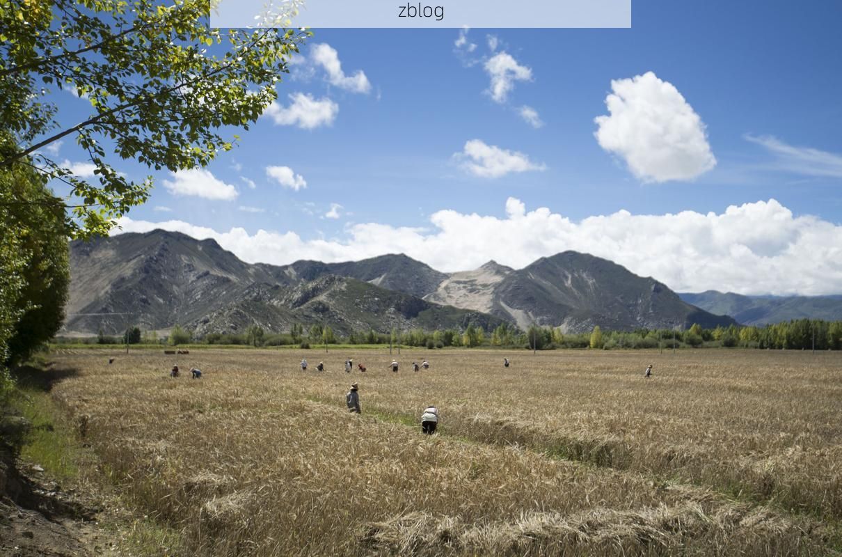 高原屏障下的零感染坚守：曲水地理优势与防疫逻辑解析_59809