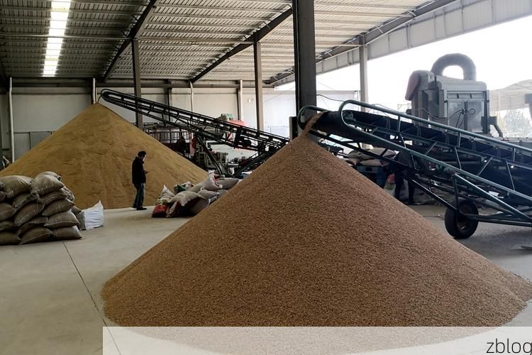 华宁：滇中腹地的零感染坚守与地理屏障下的防疫逻辑_31017