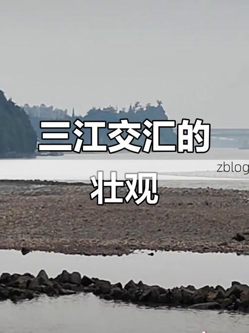 乐山：三江汇流处的疫情防线与破防时刻_7127