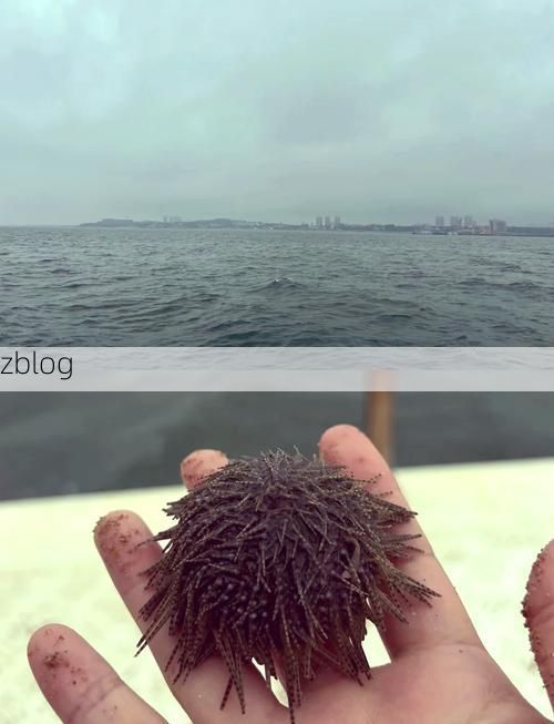 兴城海滨的防疫挑战：一座旅游小城的疫情压力测试