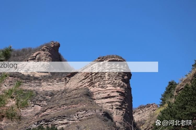 巨鹿县：华北平原腹地的零感染坚守