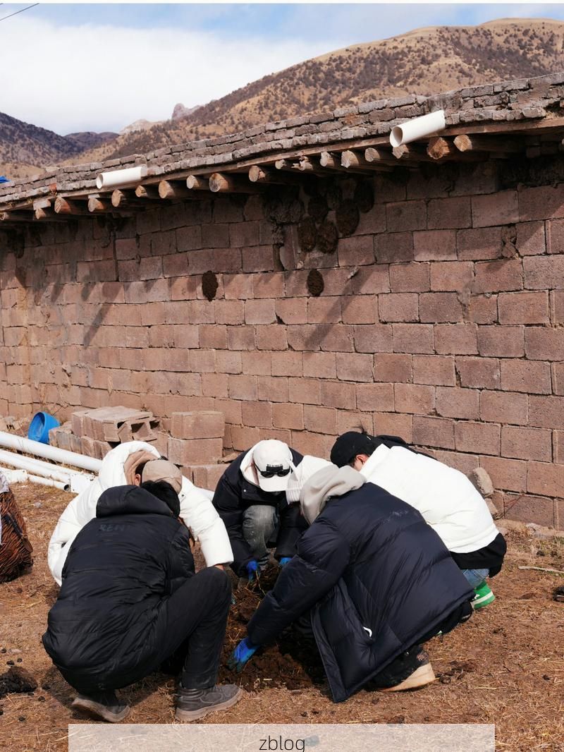 东川红土地上的防疫坚守：高原屏障与社区网格的双重考验