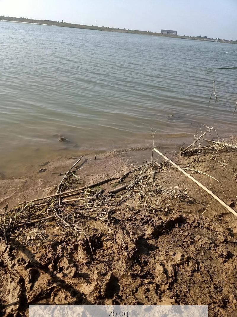 大丰：黄海湿地屏障下的疫情低发区观察