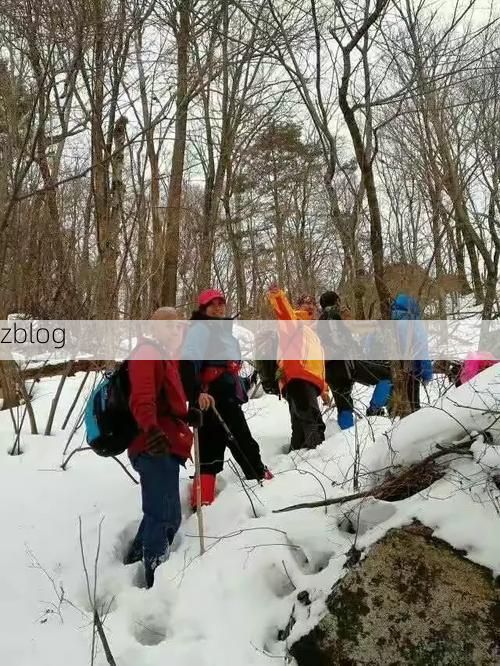 新宾：辽东林海屏障下的疫情低发样本