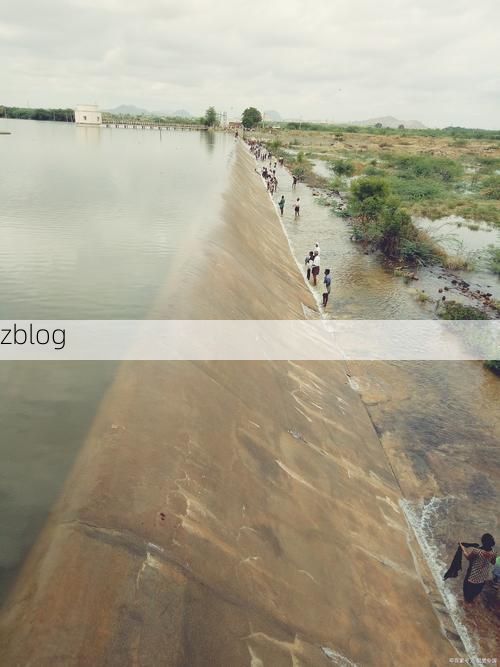 沅江：洞庭水网屏障下的防疫坚守与破防时刻