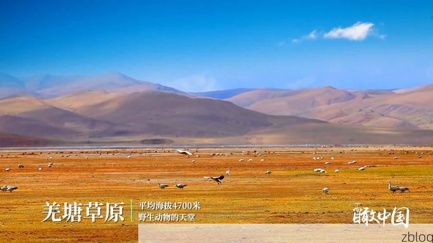 雪域边陲的零感染样本：谢通门县如何构筑高原防疫屏障