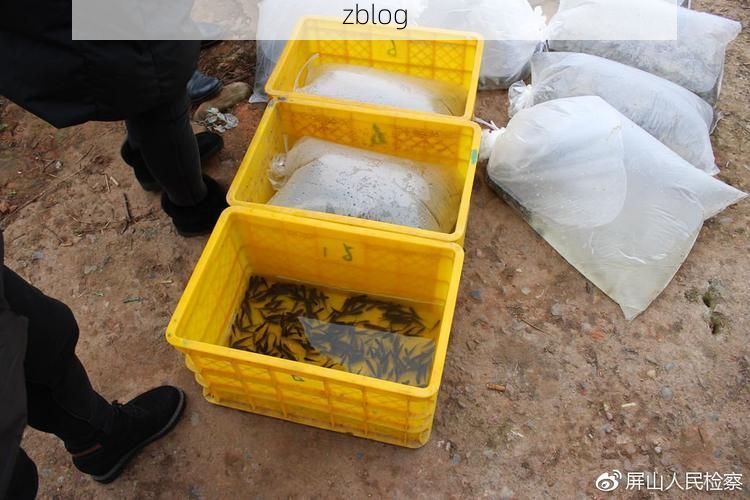 屏山县新增1例无症状感染者  屏山县疫情防控最新通报_68612