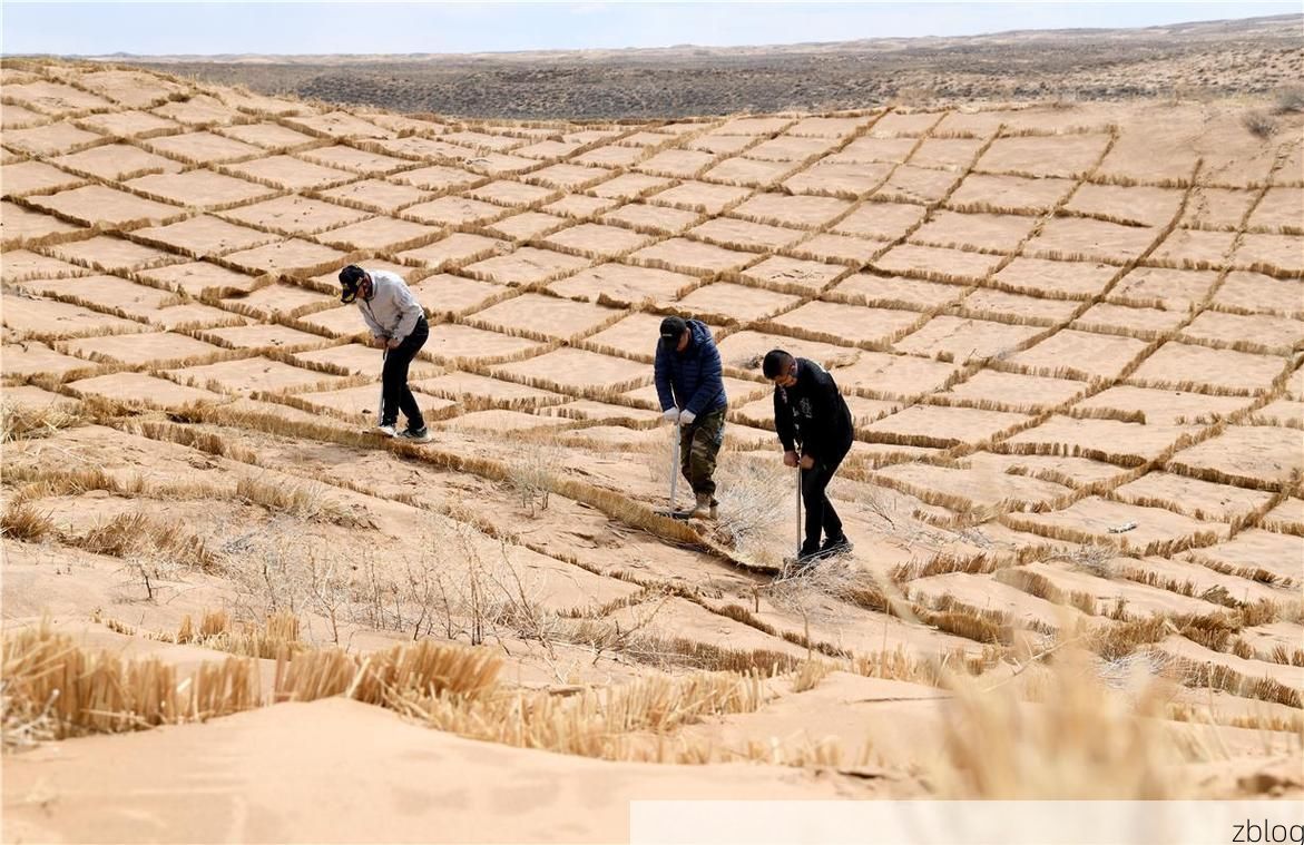 通榆：科尔沁沙地边缘的防疫坚守与破防时刻