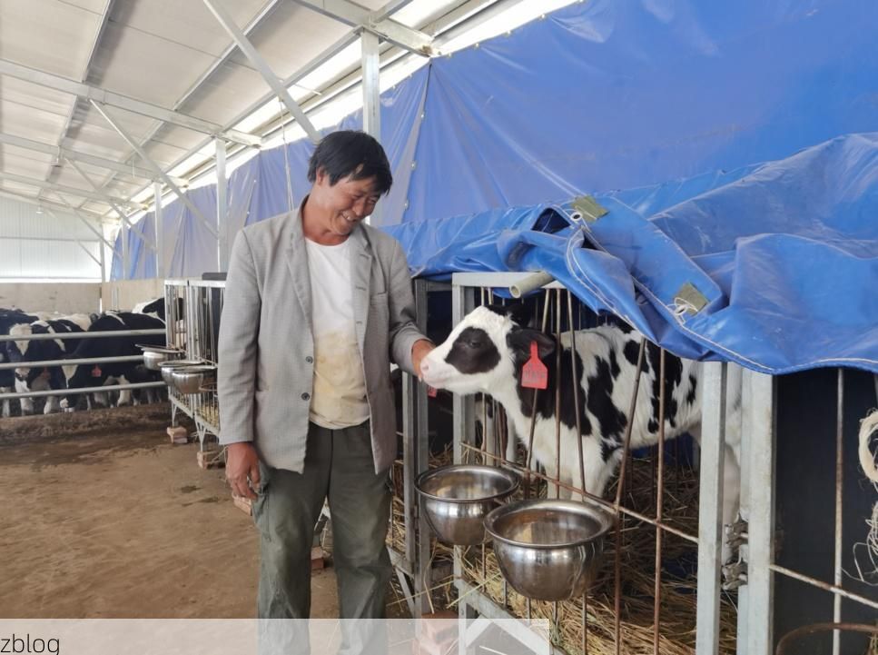 鹤庆高原屏障下的零感染坚守：地理优势如何筑牢防疫墙？