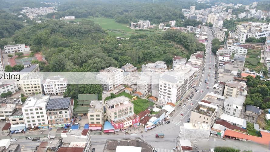 高州：粤西县域的疫情防线与地理屏障