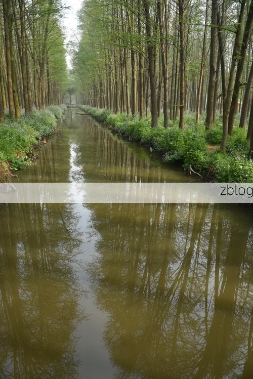 兴化水网：地理屏障下的低感染样本