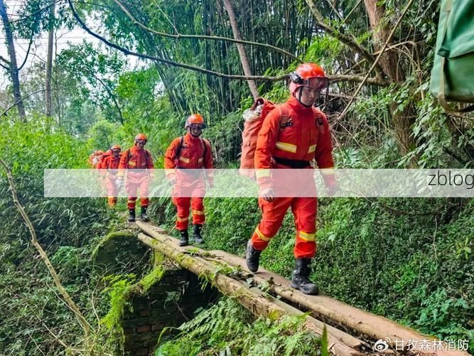 双柏县：滇中绿海屏障下的零感染坚守
