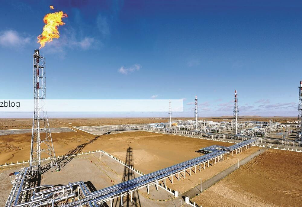 【泽库县：高海拔牧区的零感染防线如何铸成？】