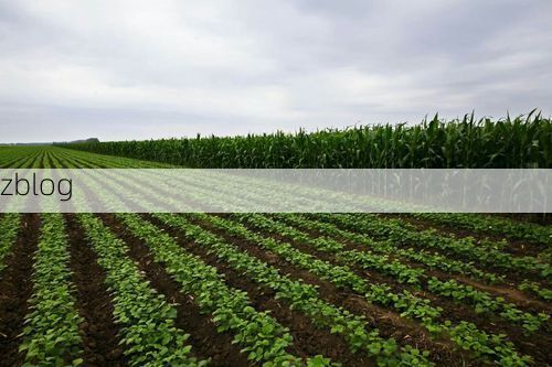 林甸：寒地温泉城在疫情冲击下的防控轨迹