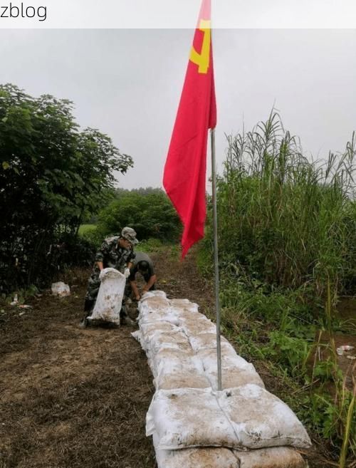 大观区：长江口岸的疫情防线与零星破防