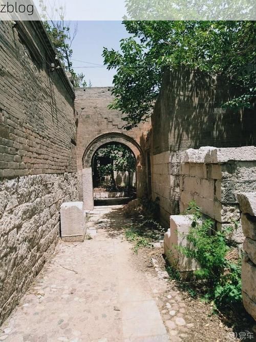 太行东麓的县域样本：邢台县疫情波动的地理注脚