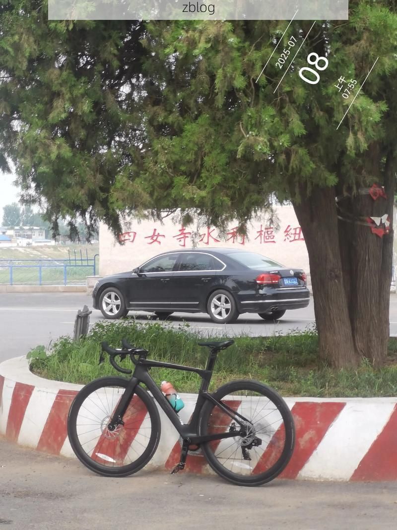 扶余县：松嫩平原交通枢纽的疫情防波堤